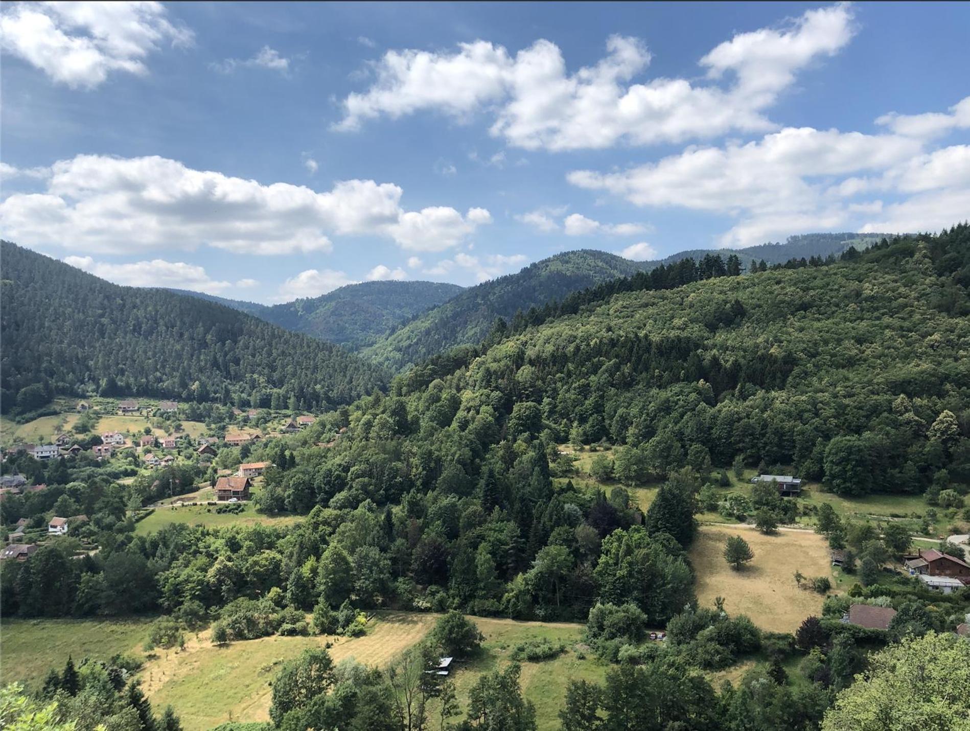 Lo'Gite L'Allee Du Val Lalaye Bagian luar foto