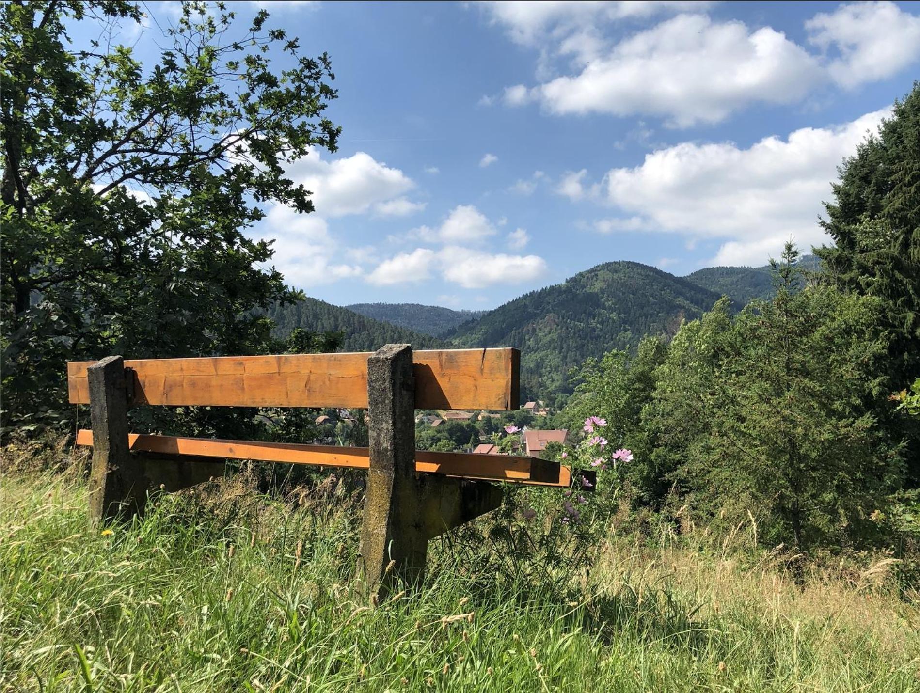 Lo'Gite L'Allee Du Val Lalaye Bagian luar foto