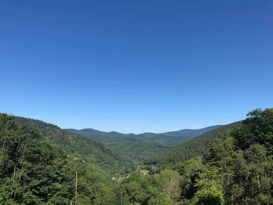 Lo'Gite L'Allee Du Val Lalaye Bagian luar foto