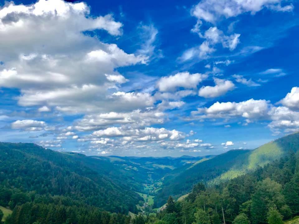 Lo'Gite L'Allee Du Val Lalaye Bagian luar foto