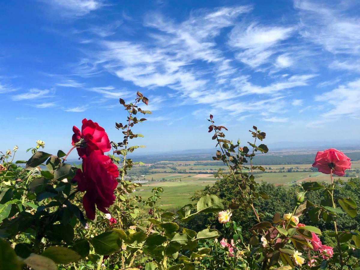 Lo'Gite L'Allee Du Val Lalaye Bagian luar foto