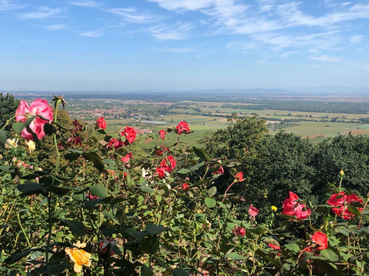 Lo'Gite L'Allee Du Val Lalaye Bagian luar foto